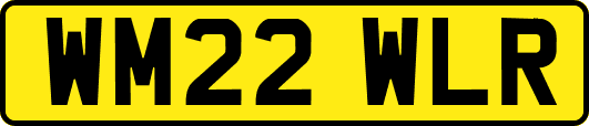 WM22WLR