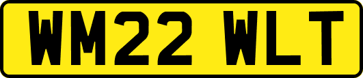WM22WLT