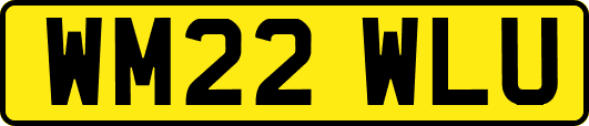 WM22WLU