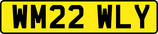 WM22WLY