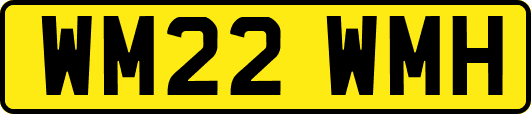 WM22WMH