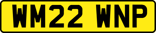 WM22WNP
