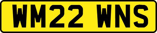WM22WNS