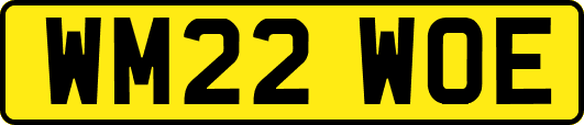 WM22WOE