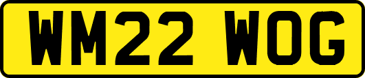 WM22WOG