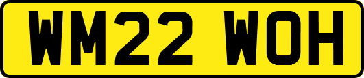 WM22WOH