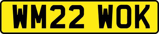 WM22WOK