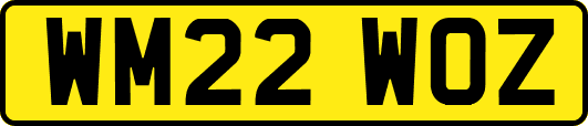WM22WOZ