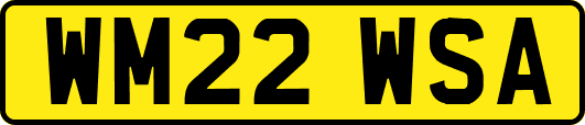 WM22WSA