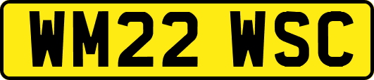 WM22WSC