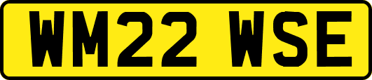 WM22WSE