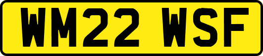 WM22WSF