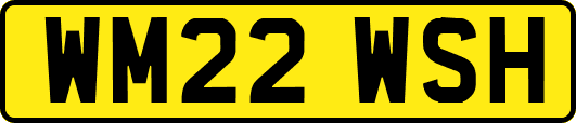 WM22WSH