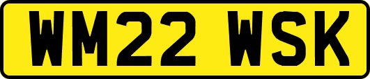 WM22WSK