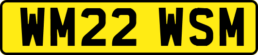 WM22WSM