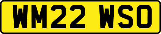 WM22WSO