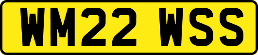 WM22WSS