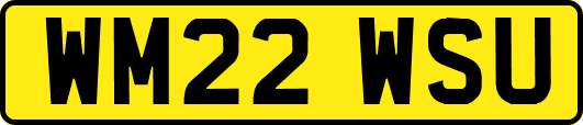 WM22WSU
