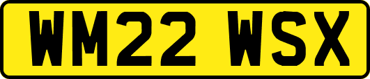WM22WSX