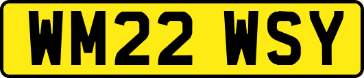 WM22WSY