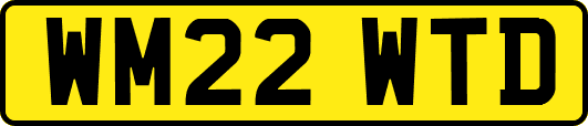 WM22WTD