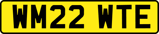 WM22WTE