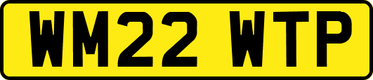 WM22WTP