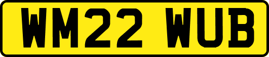 WM22WUB