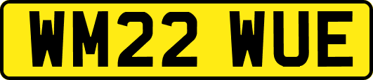 WM22WUE
