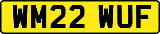 WM22WUF