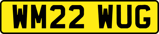 WM22WUG