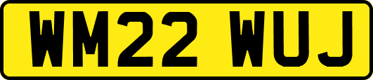 WM22WUJ