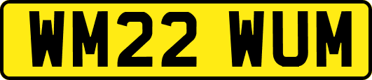 WM22WUM