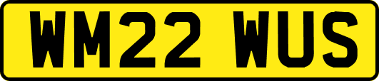 WM22WUS