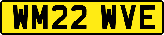 WM22WVE