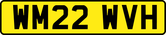 WM22WVH