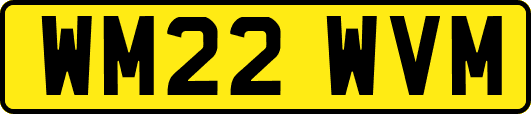 WM22WVM
