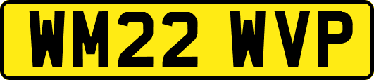 WM22WVP
