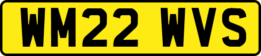 WM22WVS