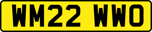 WM22WWO