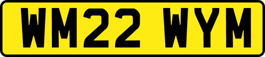 WM22WYM