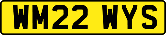WM22WYS