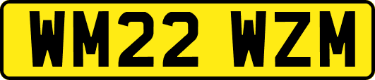 WM22WZM