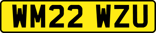 WM22WZU