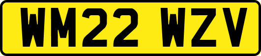 WM22WZV