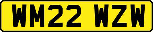 WM22WZW