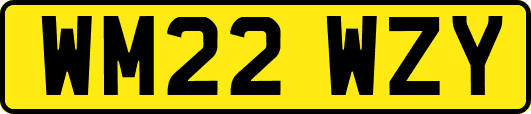 WM22WZY