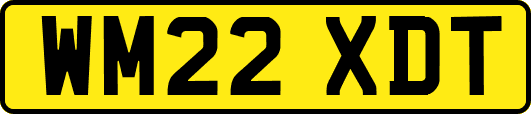 WM22XDT