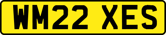 WM22XES