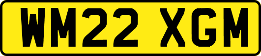 WM22XGM